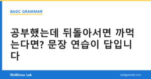 공부했는데 뒤돌아서면 까먹는다면? 문장 연습이 답입니다