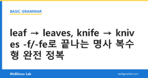 leaf leaves, knife knives -f/-fe로 끝나는 명사 복수형 완전 정복