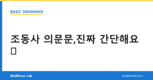 조동사 의문문,진짜 간단해요