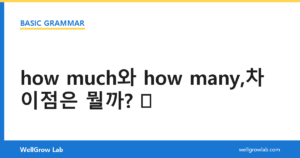 how much와 how many,차이점은 뭘까?