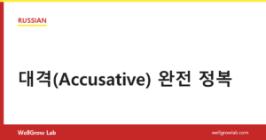 대격(Accusative) 완전 정복