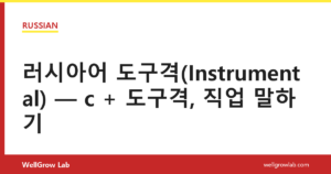 러시아어 도구격(Instrumental) — с + 도구격, 직업 말하기